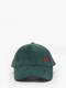 ponderosa pine red h